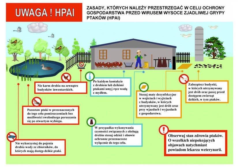 Powiatowy Inspektorat Weterynaryjny ostrzega przed ptasią grypą