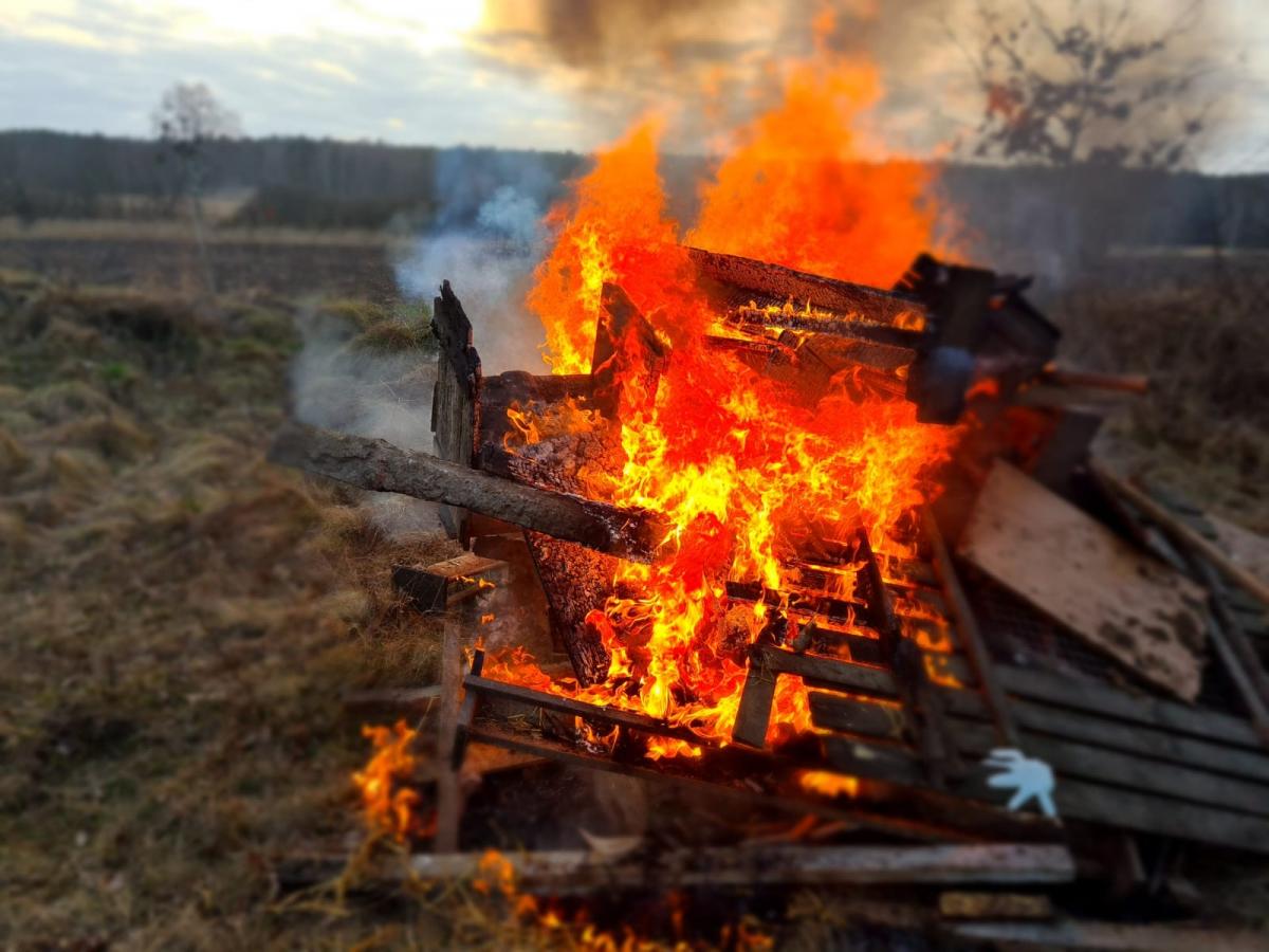 Trwa dekapitacja drobiu w miejscowości Borzym [ZDJĘCIA]