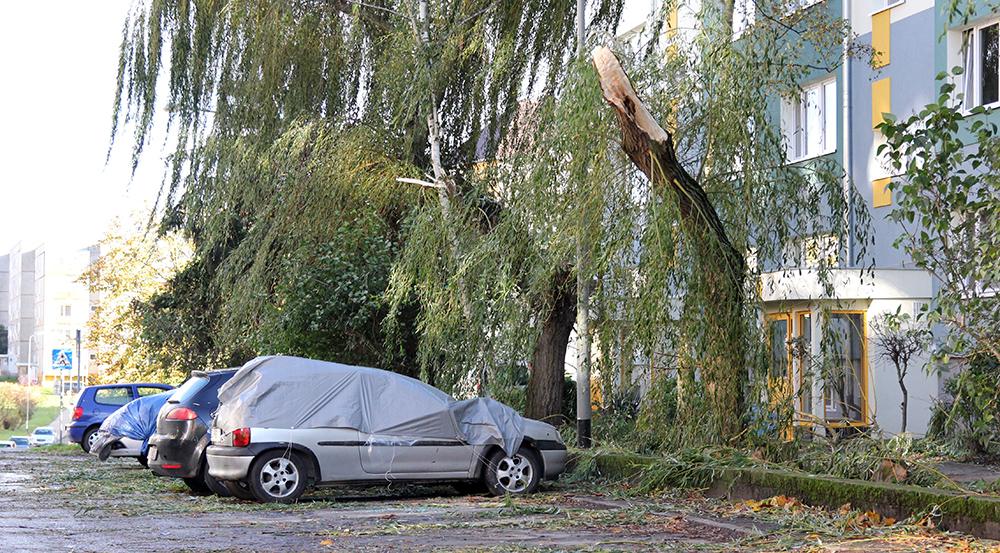 UWAGA! Wiatr do 100 km/h. Najgorzej będzie w nocy