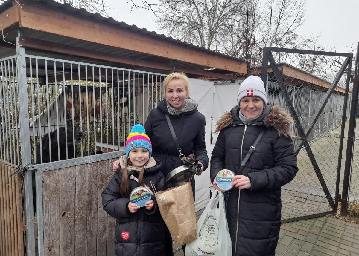9-letnia Maja zebrała dla piesków 450 złotych [GALERIA]