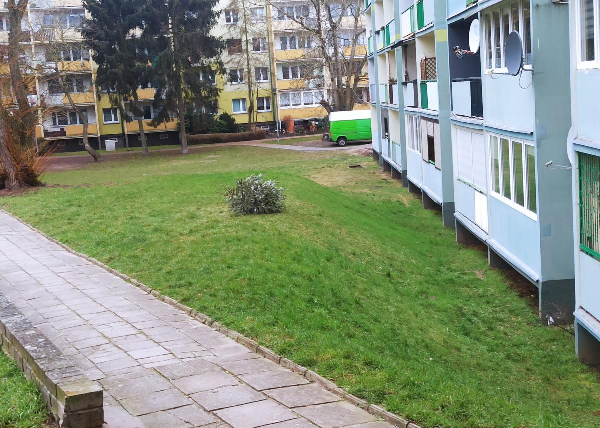 Umilała czas. Gdy stała się niepotrzebna, wylądowała na trawniku