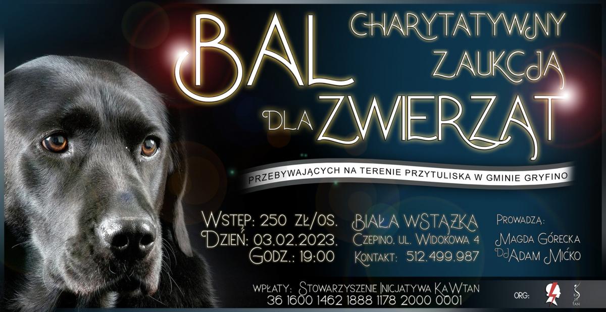 Zapraszają na bal dla… zwierząt