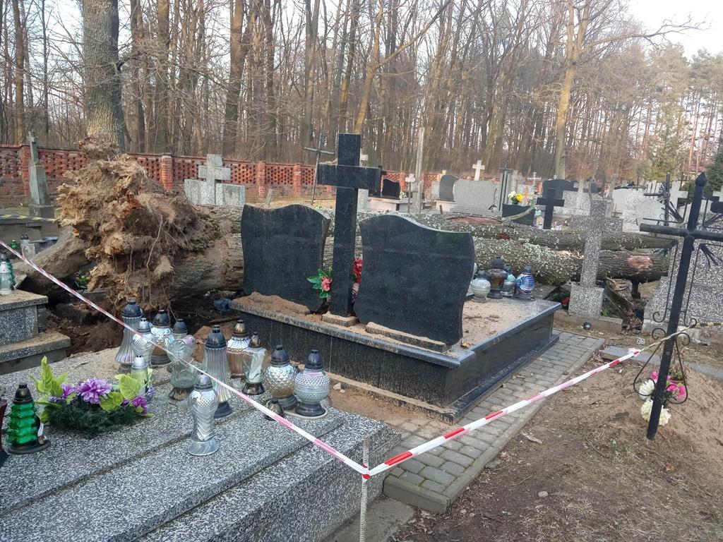 Drzewa spadały na nagrobek i drogi