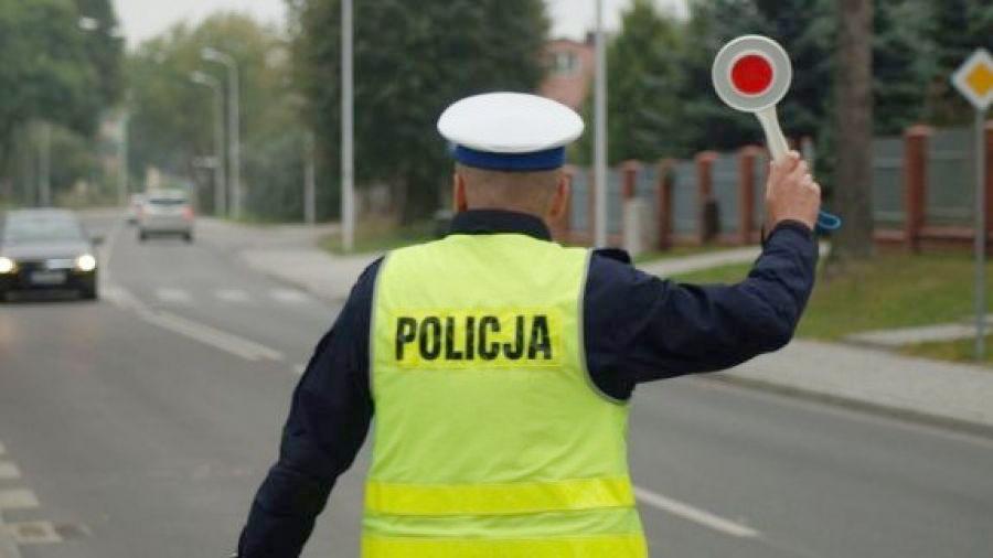 Zabawa w kotkę i myszkę