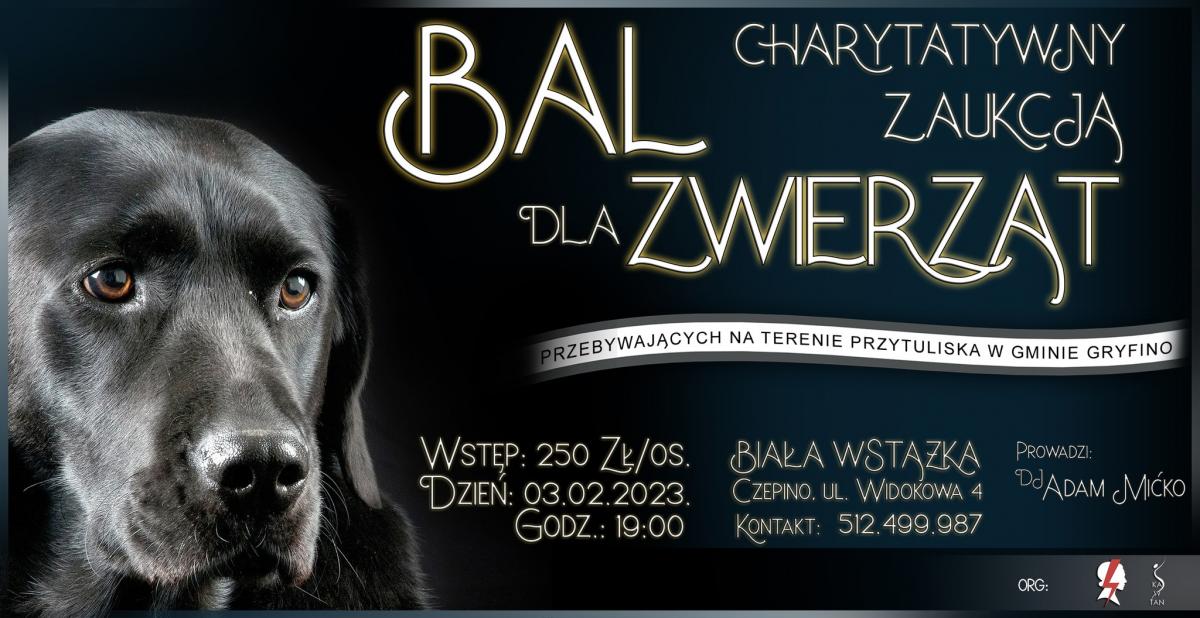 Bal Charytatywny dla Zwierząt (zapowiedź)