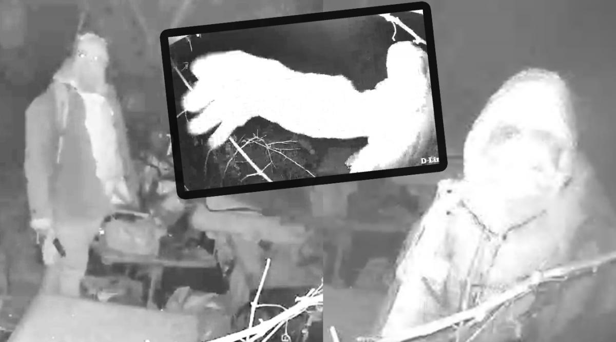 Złodzieje nagrani przez monitoring!