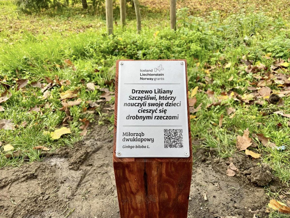 Te drzewa zostały zaadoptowane [GALERIA]
