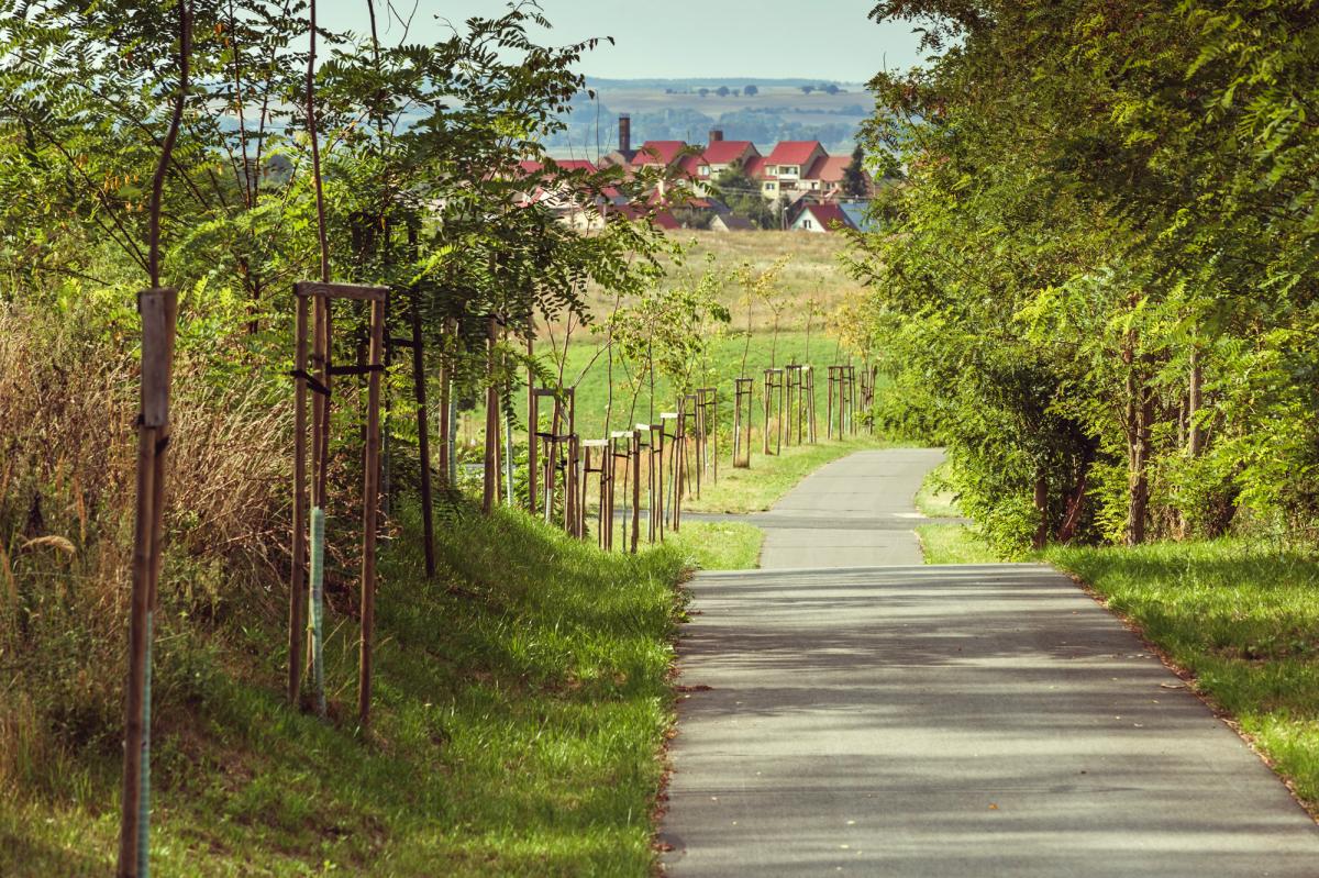 Nie był w pełni zdrów, jadąc przez Radostów