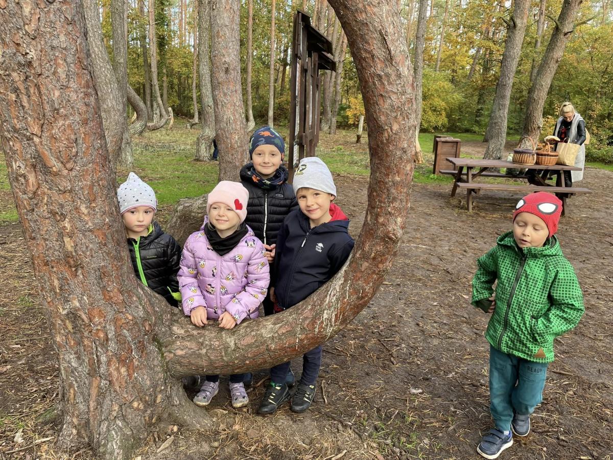 Przedszkolaki z Hałabały odwiedziły Krzywy Las [GALERIA]