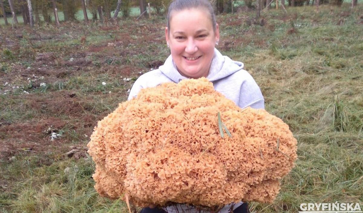 Gigantyczna kozia broda