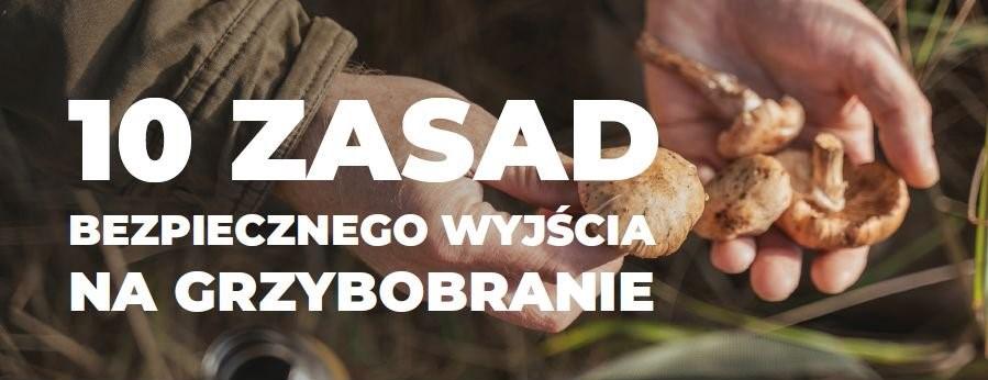 Dziesięć zasad bezpiecznego grzybobrania