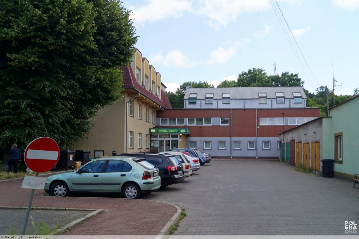 Strażacy usuwali gniazdo os z budynku ZUS