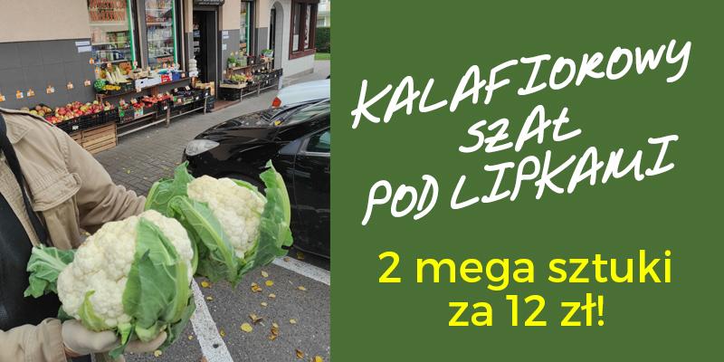 Kalafiory rzucili!