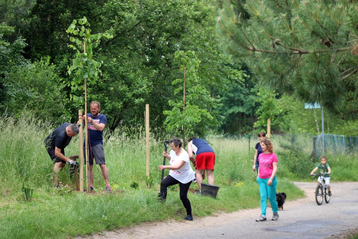 Mieszkańcy Wirowa i uchodźcy wojenni zazielenili miejscowość [GALERIA]