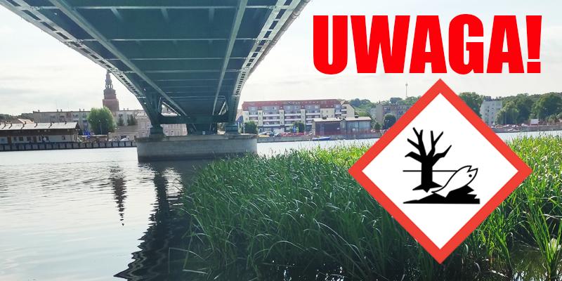 UWAGA! Skażona woda w Odrze może dotrzeć do Gryfina za dwa dni
