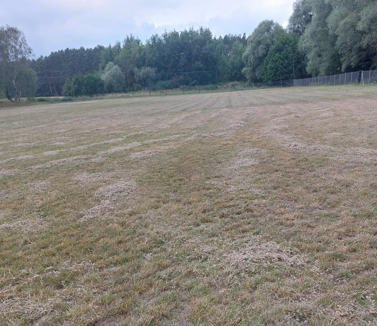 Niech Wicher zrobi w końcu boisko i gra w Steklnie!
