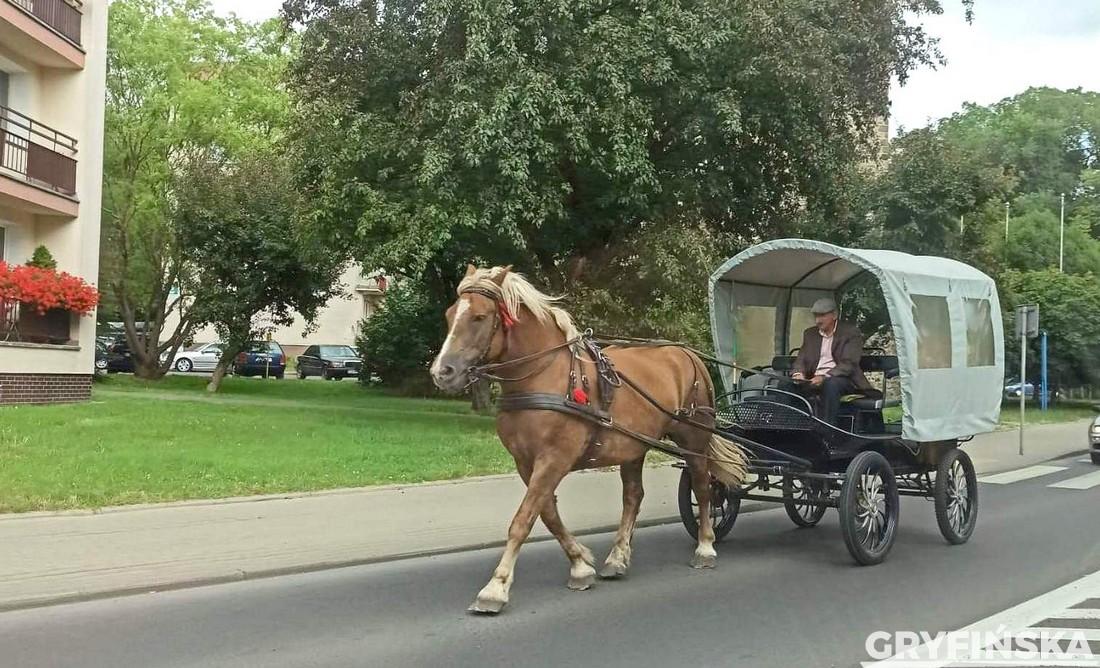 Benzyna coraz droższa, dorożki wracają na ulice Gryfina!