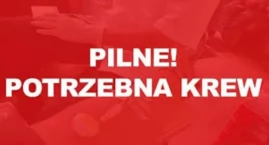 Bartek z Gryfina pilnie potrzebuje krwi!