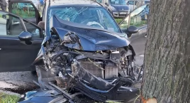 Wjechał w drzewo. Znamy szczegóły wczorajszego wypadku