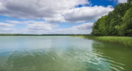 Służby potwierdzają. Nie żyje 73-latek