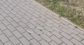 LIST DO REDAKCJI. Podczas inwestycji zniszczyli chodnik