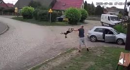 Mężczyzna, który brutalnie potraktował psa został zatrzymany