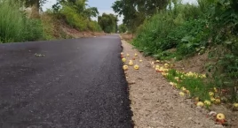 Mamy kolejne migawki z budowy ścieżki rowerowej łączącej gm. Gryfino i Stare Czarnowo [ZDJĘCIA]