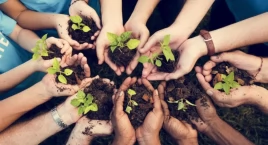 Gmina Gryfino realizuje projekt dla klimatu