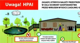 HPAI w powiecie gryfińskim. Należy zachować bezpieczeństwo 