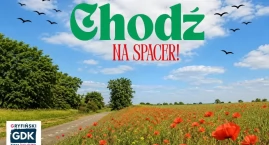 Chodź na spacer! Warto zwiedzić okolicę