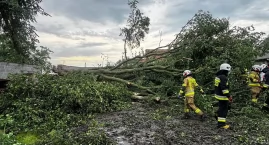 Strażacy wyjechali w poprzednim tygodniu do... 167 i&hellip;