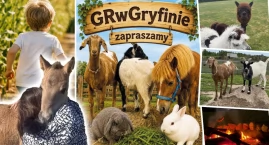 Alpaki, kozy, ognisko i ogromny labirynt w kukurydzy