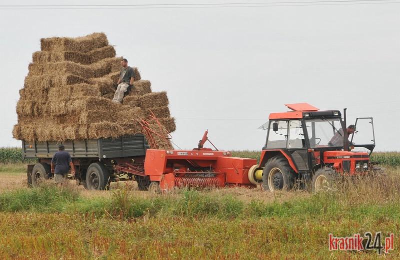 Gm. Dzierzkowice: O 4,5% wzrosną gminne podatki