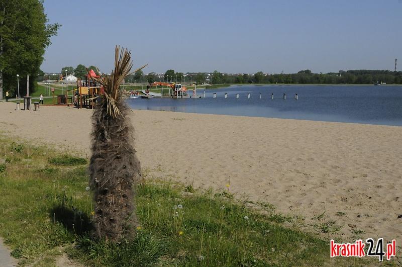 Zalew Kraśnicki: Palmy będa zabezpieczone przed zimą
