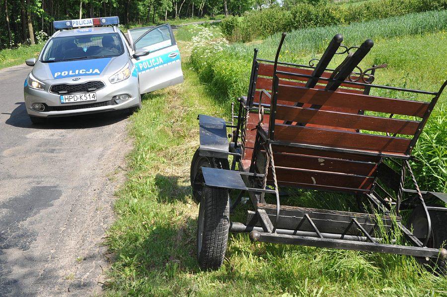 Karpiówka (gm. Kraśnik): Spłoszony koń zrzucił pasażerów z bryczki