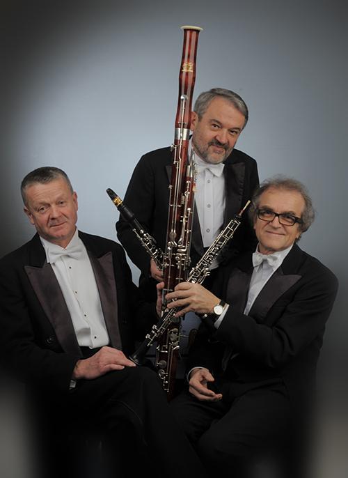 Lubelskie Trio Stroikowe zagra w Kraśniku