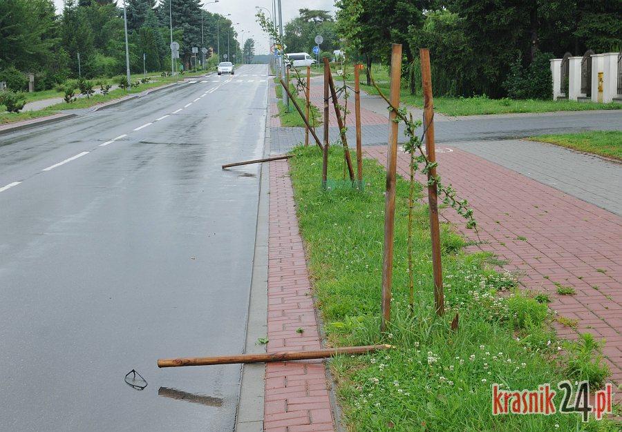Kraśnik, ul. Graniczna: Jakiś wandal połamał drzewka