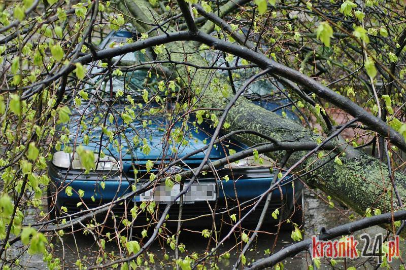 Super Express o wypadku w Kraśniku: Drożdżówka przeznaczenia, czyli drzewo na samochodzie