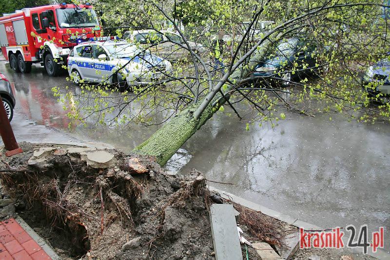 Kraśnik, ul. Szpitalna. Wywrócone drzewo zniszczyło samochód FOTO Aktualizacja