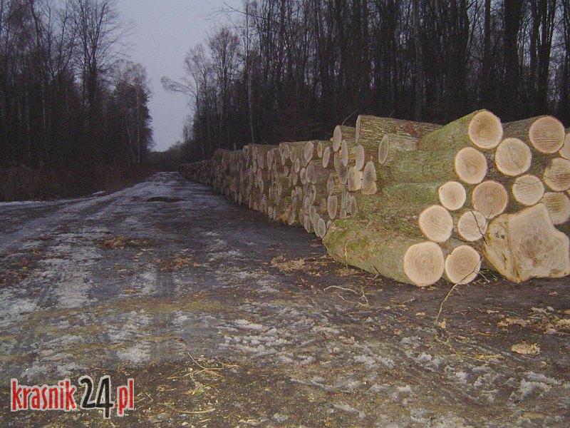 Zamach na lasy, czy dzielenie się wspólnym dobrem?