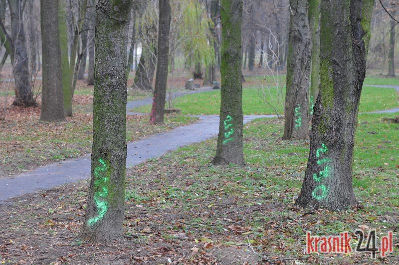Co dalej z Parkiem Jordanowski? Burmistrz przez 2 tygodnie nie odpowiedział na nasze pytania