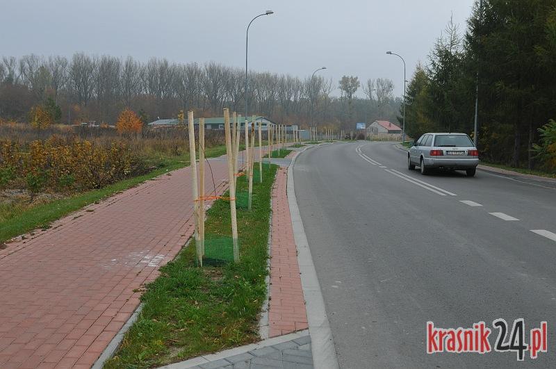 Kraśnik. Zadrzewiają ulicę Graniczną