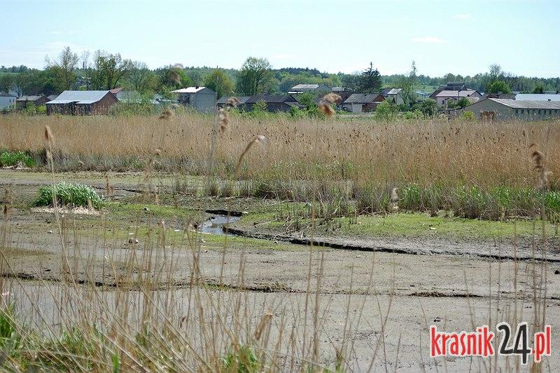 Co się dzieje z Zalewem Kraśnickim?
