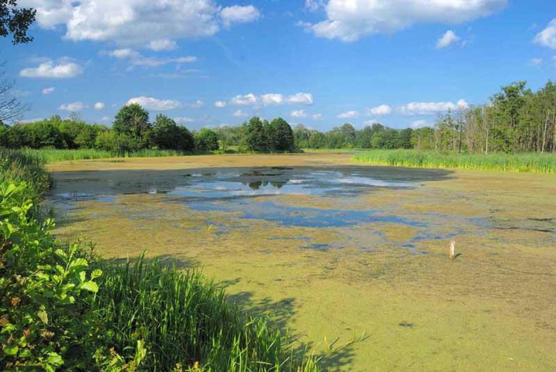 Kraina Bugu w obiektywie kraśnickiego fotografika Marka Nasiadki