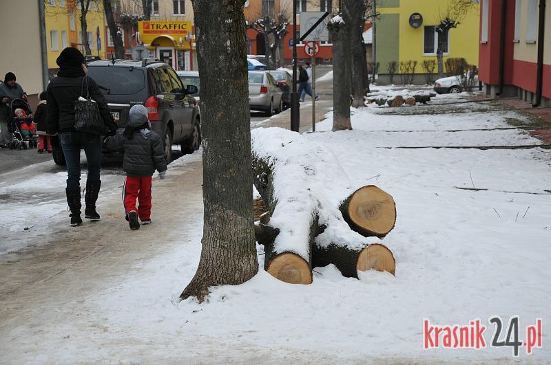 Kraśnik: Wielkie cięcie drzewostanu ciągle trwa