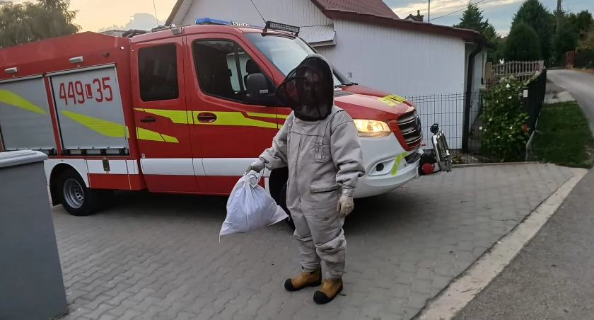 Strażacy jeżdżą nie tylko do pożarów