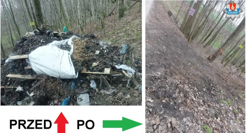 Podrzucał śmieci na działkę. Teraz to posprzątał, zapłacił i przeprosił