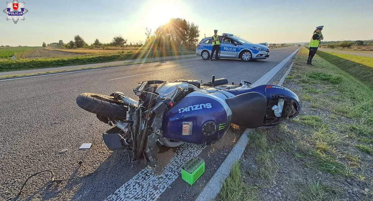 Śmiertelne spotkanie z łosiem