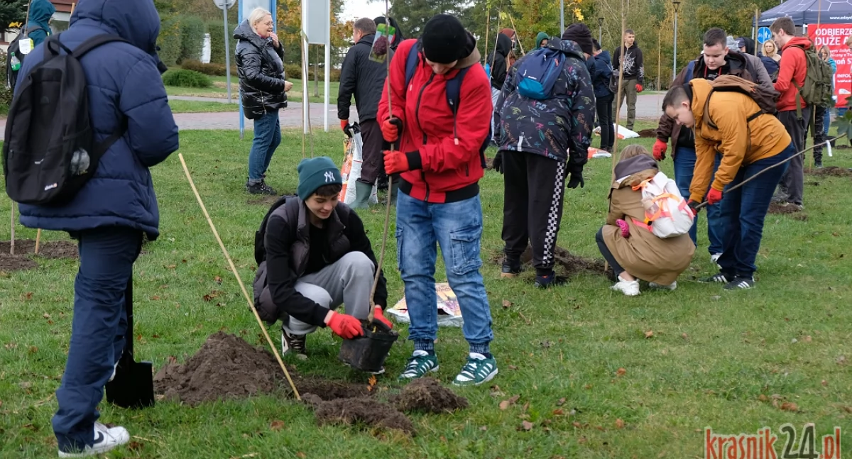 Kraśnik bardziej zielony. Przybyło w nim 200 drzew