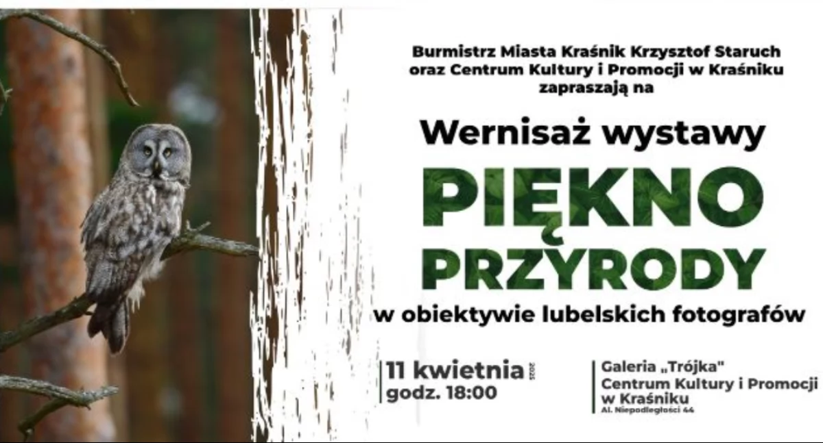 Czołówka lubelskich fotografów na wystawie w Kraśniku